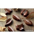 STAMPO SILICONE CHOCO NATURE