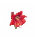 STAMPO VENATORE PETALO AMARYLLIS